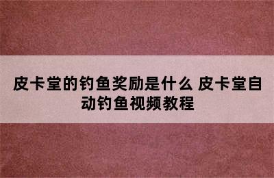 皮卡堂的钓鱼奖励是什么 皮卡堂自动钓鱼视频教程